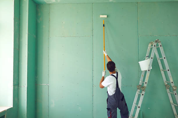 Best Asbestos and Lead Testing During Mold Inspection  in Falcon Heights, MN