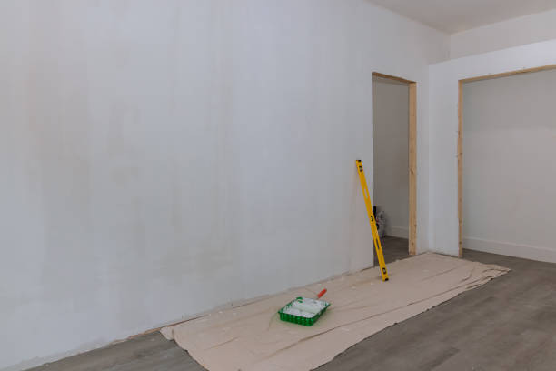 Best Air Quality Testing for Mold Spores  in Falcon Heights, MN