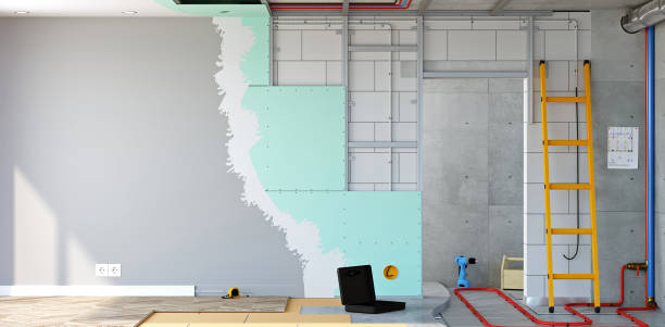 Best Industrial Mold Remediation  in Falcon Heights, MN