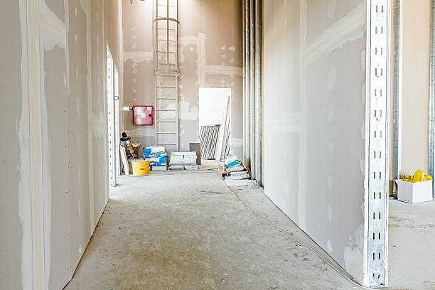 Best Emergency Mold Remediation  in Falcon Heights, MN